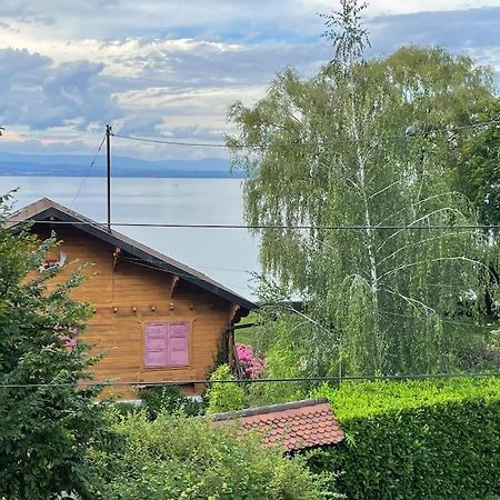 La Veranda De La Mouette Thonon-les-Bains Exterior foto